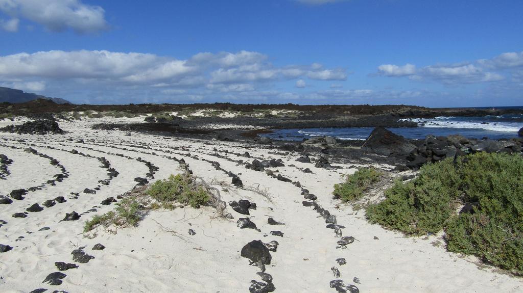 Marysol 6 Terrace With Sea Views, Close To The Sea Punta Mujeres 客房 照片